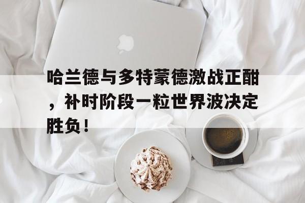 哈兰德与多特蒙德激战正酣，补时阶段一粒世界波决定胜负！